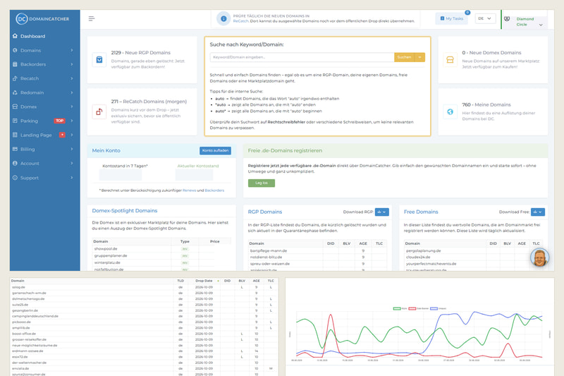Die DomainCatcher-Anwendung mit Domainliste und Parking-Auswertung